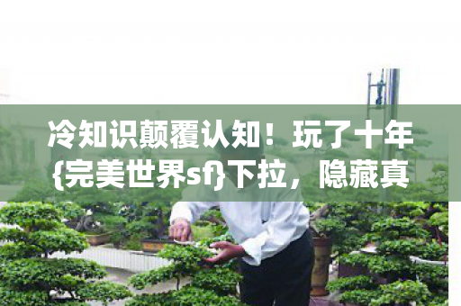 冷知识颠覆认知!玩了十年{完美世界sf}下拉,隐藏真相揭秘 冷知识颠覆认知!玩了十年{完美世界sf}下拉,隐藏真相揭秘
