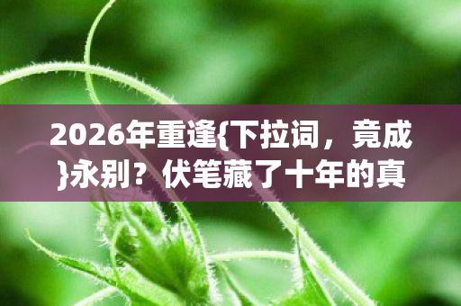 2026年重逢{下拉词,竟成}永别?伏笔藏了十年的真相 2026年重逢{下拉词,竟成}永别?伏笔藏了十年的真相