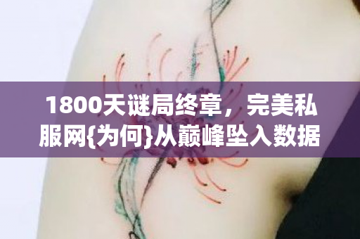 1800天谜局终章,完美私服网{为何}从巅峰坠入数据深渊? 1800天谜局终章,完美私服网{为何}从巅峰坠入数据深渊?