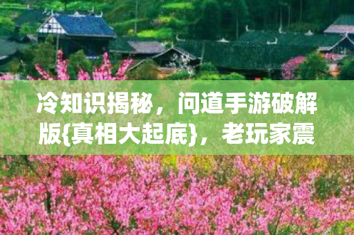 冷知识揭秘,问道手游破解版{真相大起底},老玩家震惊! 冷知识揭秘,问道手游破解版{真相大起底},老玩家震惊!