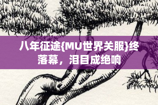 MU世界关服图片