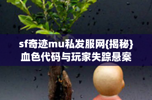 血色代码与玩家失踪悬案图片