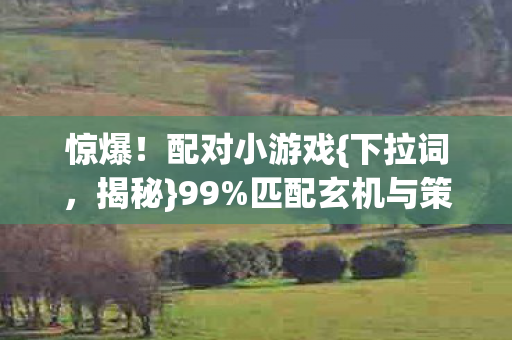 匹配玄机与策划秘密图片