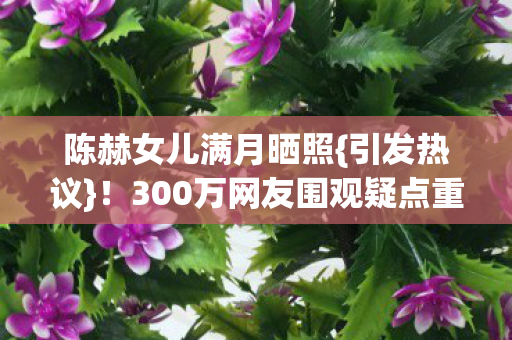 300万网友围观疑点重重图片