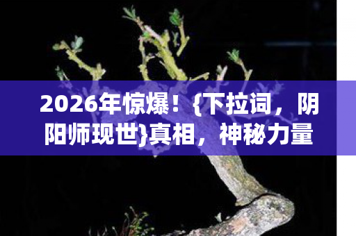 2026年惊爆图片