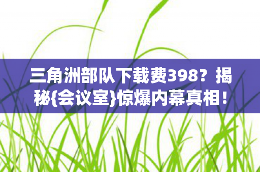 三角洲部队下载费398图片