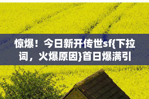 今日新开传世sf图片