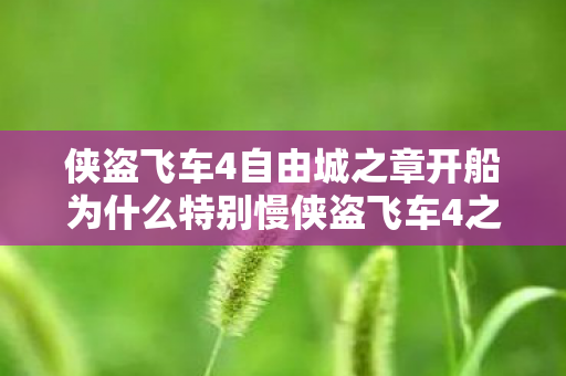 侠盗飞车4自由城之章开船为什么特别慢侠盗飞车4之自由城图片