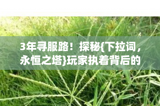 3年寻服路！探秘{下拉词，永恒之塔}玩家执着背后的心酸