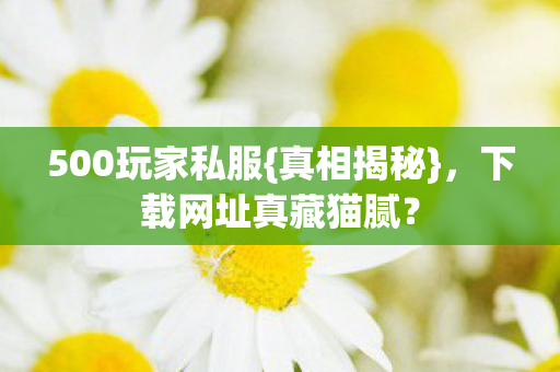 500玩家私服{真相揭秘},下载网址真藏猫腻? 500玩家私服{真相揭秘},下载网址真藏猫腻?