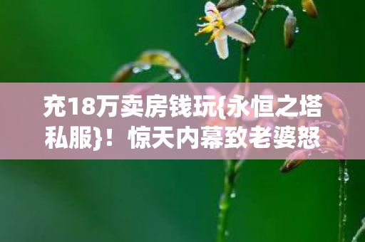 充18万卖房钱玩{永恒之塔私服}！惊天内幕致老婆怒签离婚书