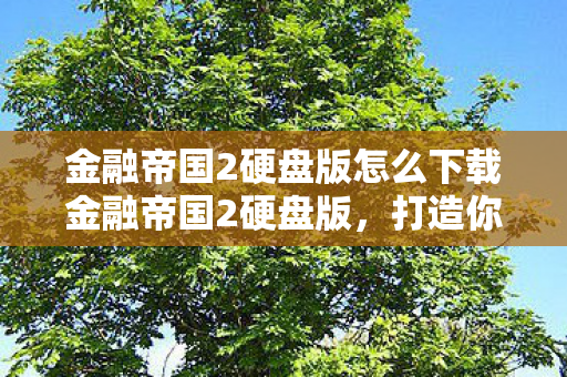 金融帝国2硬盘版怎么下载金融帝国2硬盘版图片