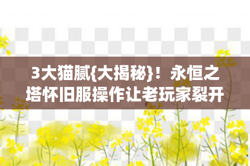 3大猫腻{大揭秘}！永恒之塔怀旧服操作让老玩家裂开