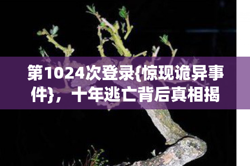 十年逃亡背后真相揭晓图片