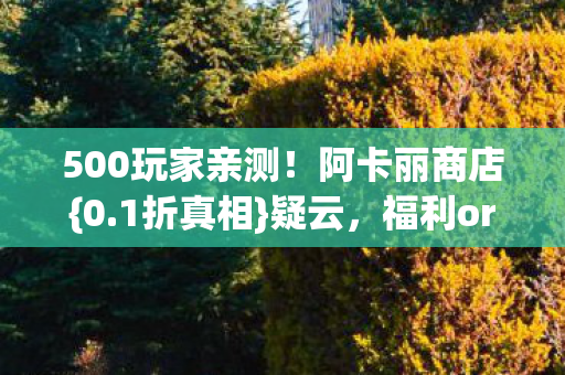 500玩家亲测图片