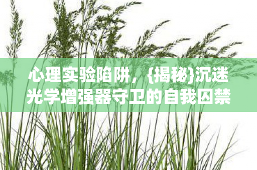 沉迷光学增强器守卫的自我囚禁图片