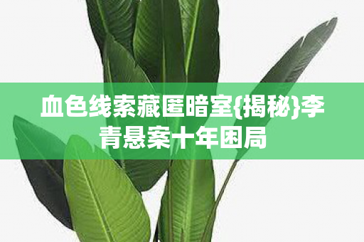 血色线索藏匿暗室图片