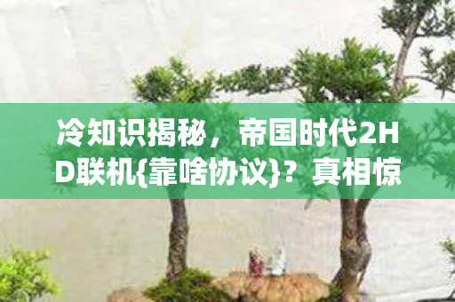 帝国时代2HD联机图片