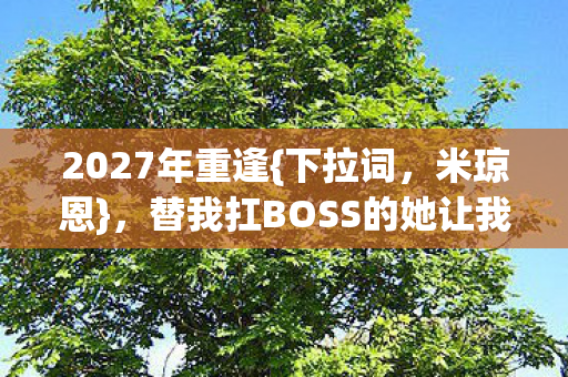2027年重逢{下拉词，米琼恩}，替我扛BOSS的她让我泪目