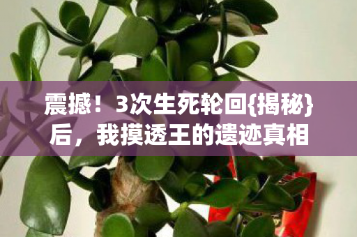 震撼！3次生死轮回{揭秘}后，我摸透王的遗迹真相