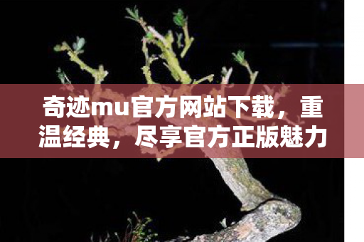 奇迹mu官方网站下载图片