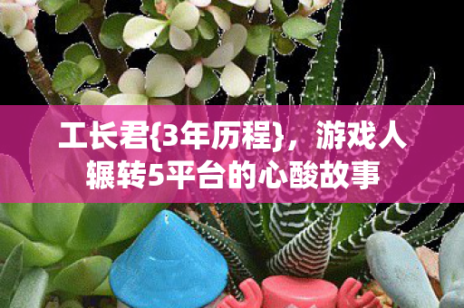 工长君{3年历程},游戏人辗转5平台的心酸故事 工长君{3年历程},游戏人辗转5平台的心酸故事