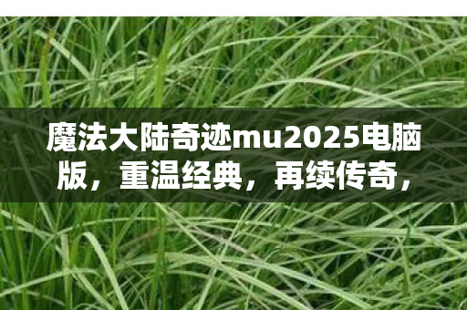 魔法大陆奇迹mu2025电脑版图片