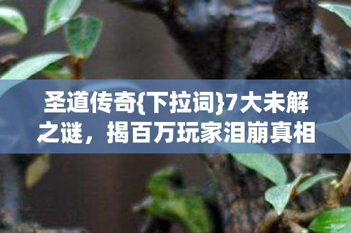 揭百万玩家泪崩真相图片