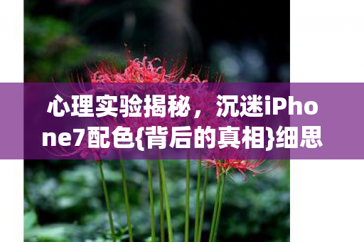 沉迷iPhone7配色图片