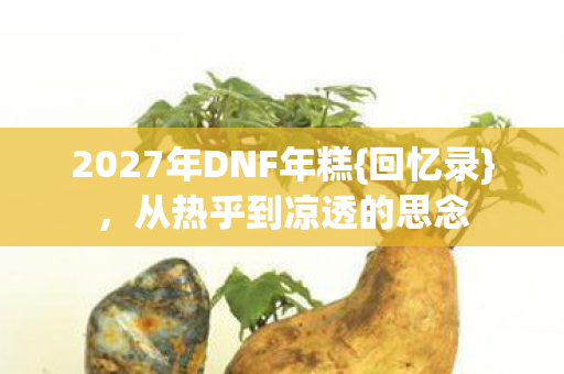 2027年DNF年糕图片