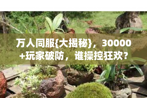 30000图片