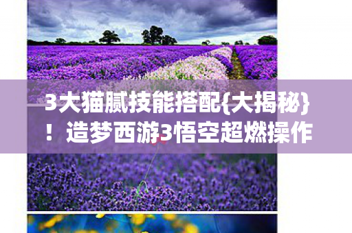 造梦西游3悟空超燃操作图片