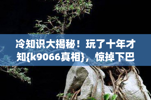 k9066真相图片