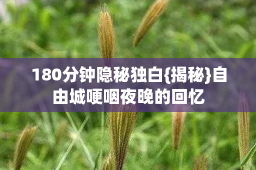 自由城哽咽夜晚的回忆图片