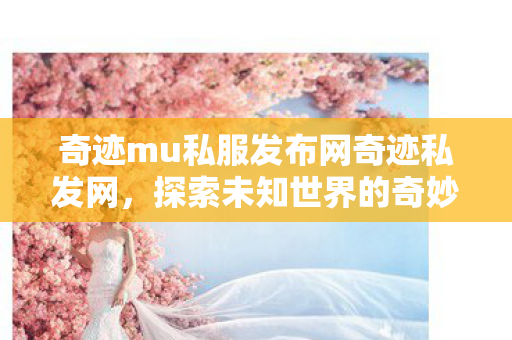 奇迹mu私服发布网奇迹私发网图片