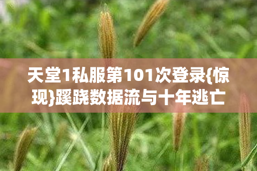 天堂1私服第101次登录图片