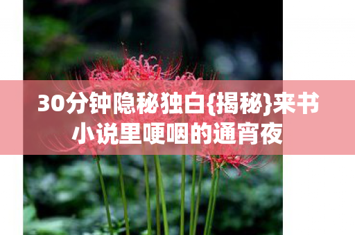 30分钟隐秘独白{揭秘}来书小说里哽咽的通宵夜 30分钟隐秘独白{揭秘}来书小说里哽咽的通宵夜