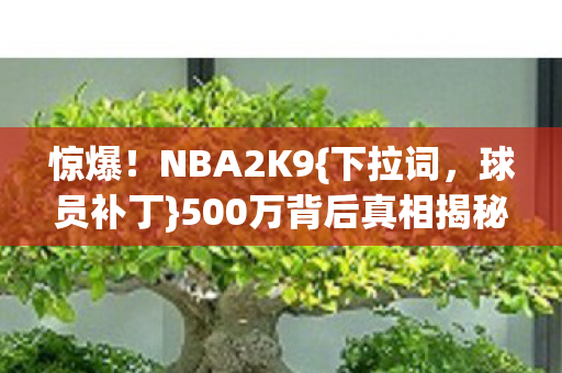 500万背后真相揭秘图片