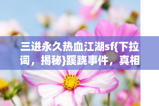 三进永久热血江湖sf图片