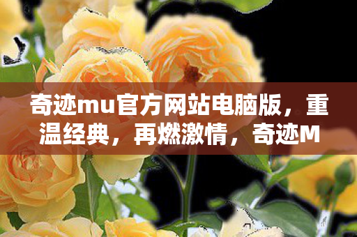 奇迹mu官方网站电脑版图片
