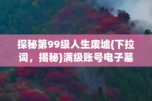 探秘第99级人生废墟图片