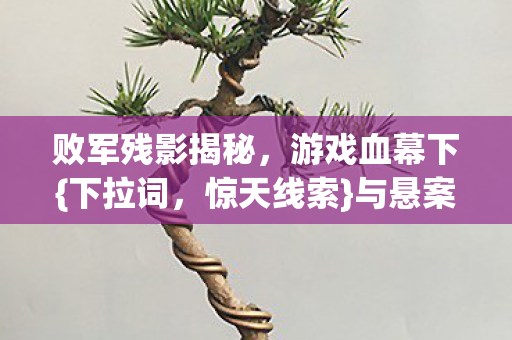 败军残影揭秘图片