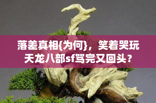 笑着哭玩天龙八部sf骂完又回头图片