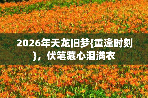2026年天龙旧梦图片