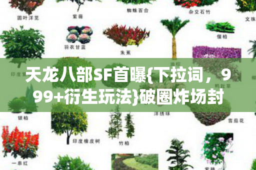 天龙八部SF首曝图片