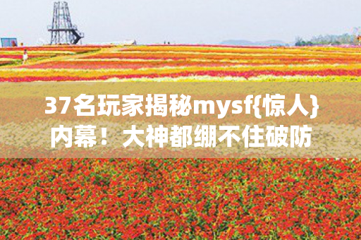 37名玩家揭秘mysf{惊人}内幕！大神都绷不住破防