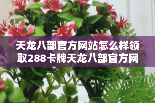 天龙八部官方网站怎么样领取288卡牌天龙八部官方网站领取288卡攻略图片