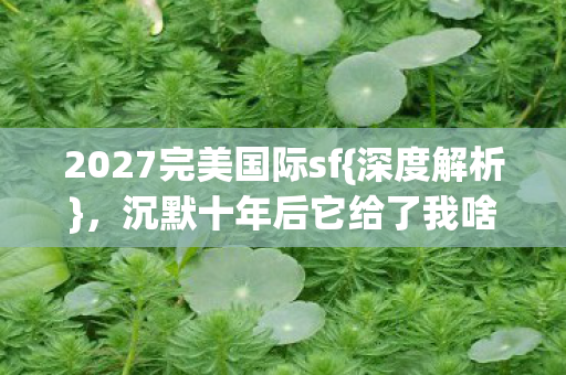2027完美国际sf{深度解析}，沉默十年后它给了我啥？