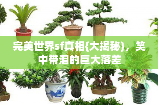 完美世界sf真相{大揭秘}，笑中带泪的巨大落差