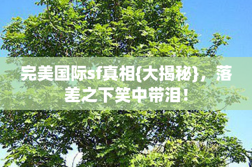 完美国际sf真相{大揭秘},落差之下笑中带泪! 完美国际sf真相{大揭秘},落差之下笑中带泪!